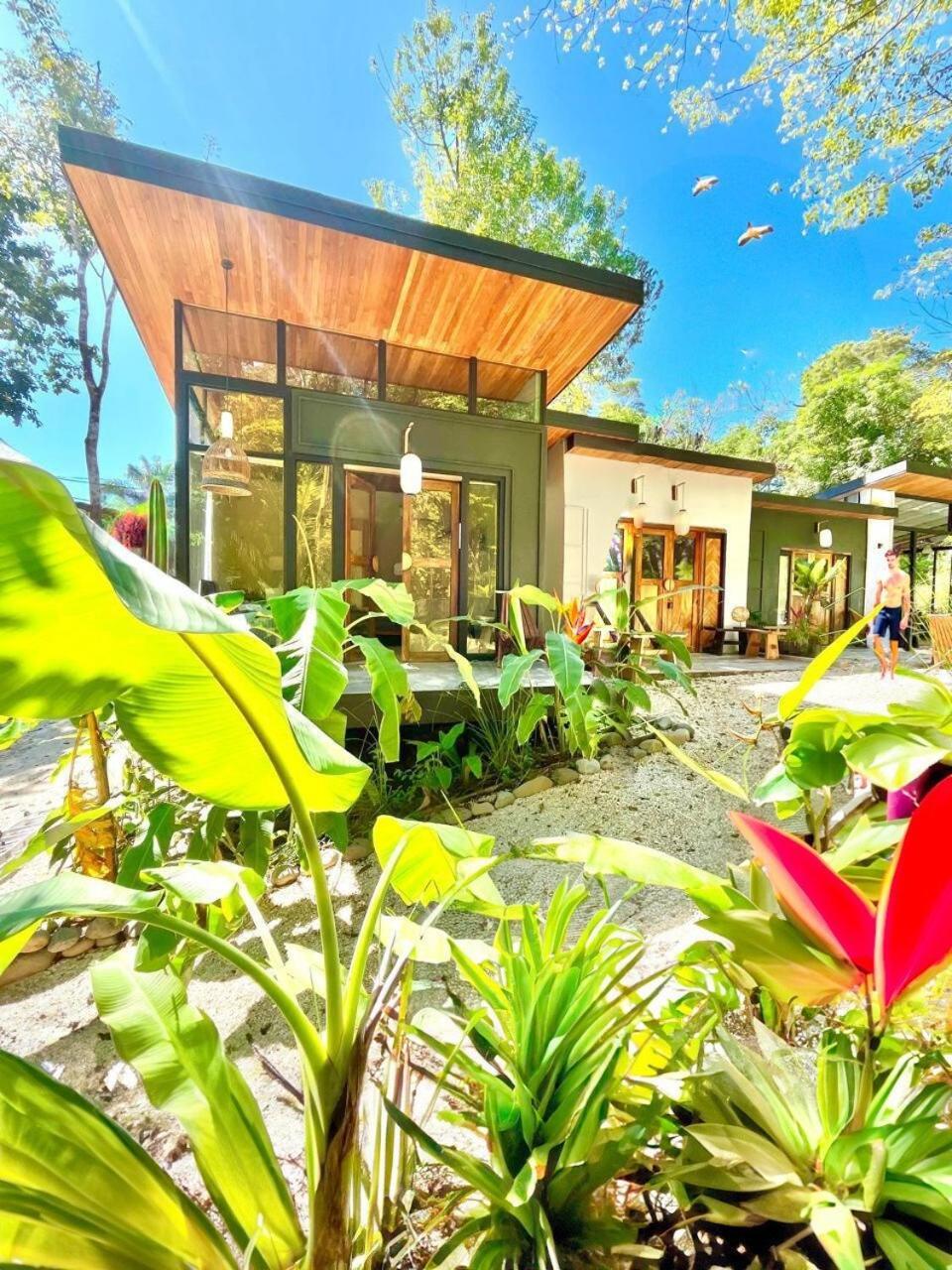 Villa Ikiru House à Playa Santa Teresa  Extérieur photo